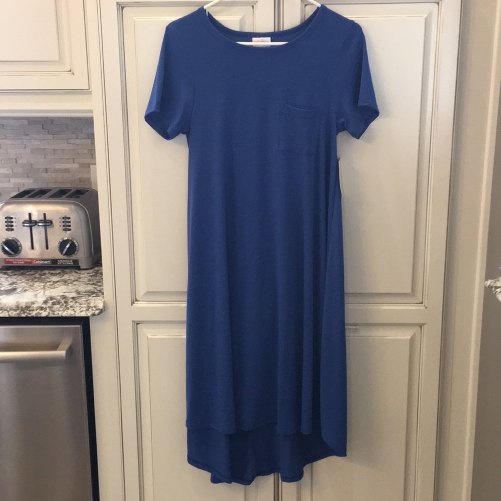 LuLaRoe Carly Dress with Pocket